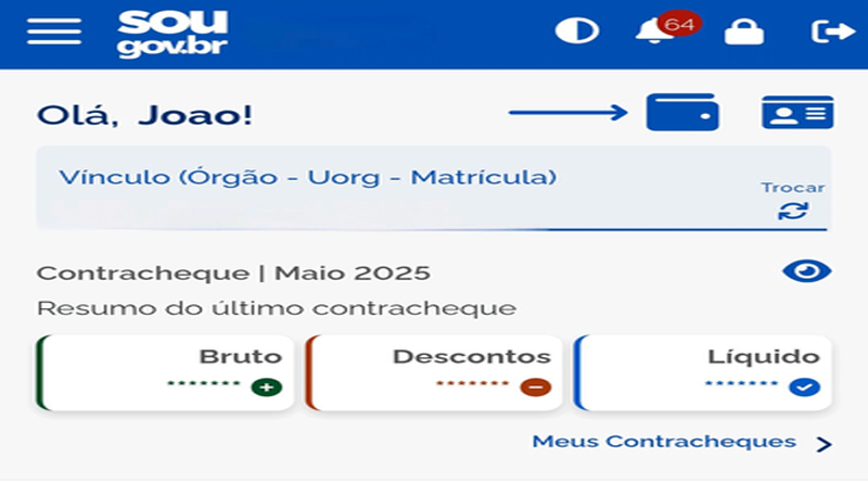 carteira_mgi carteira_mgi